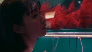 国产吃瓜少女,揭秘网络时代的“冷眼旁观者”